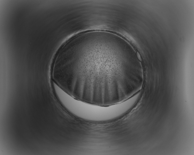 X0000089381230200706291311