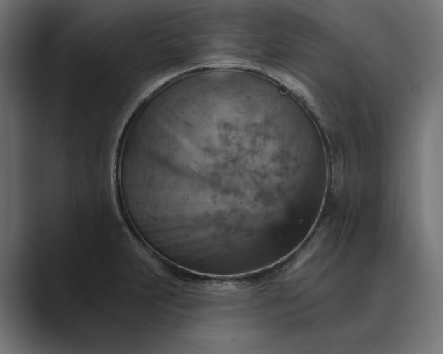 X0000089381231200706291311