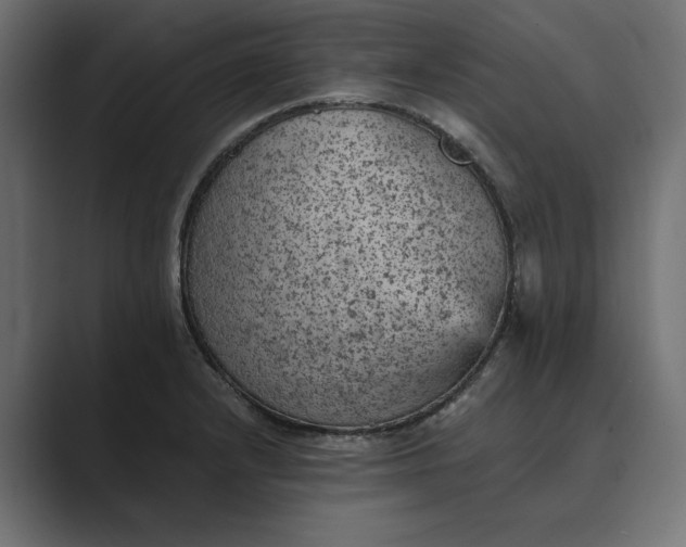 X0000089381232200706291311