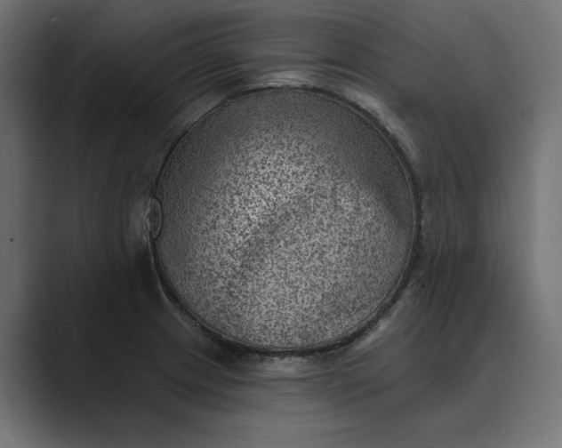 X0000089381233200706291311