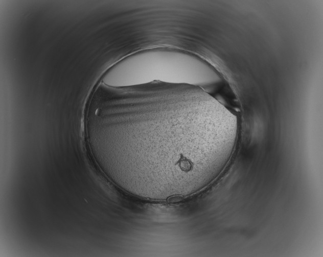 X0000089381234200706291311