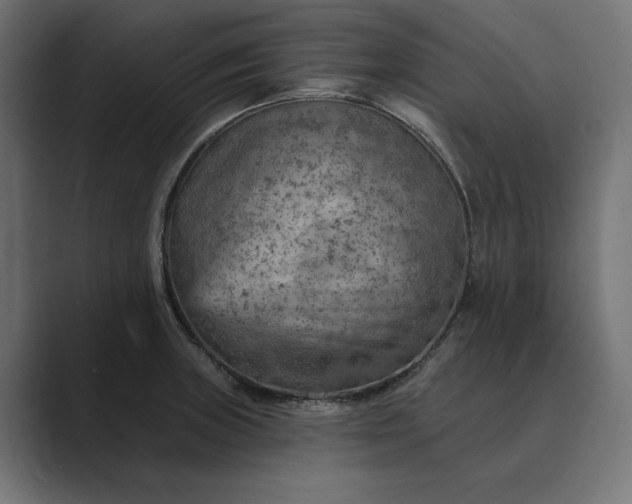 X0000089381235200706291311