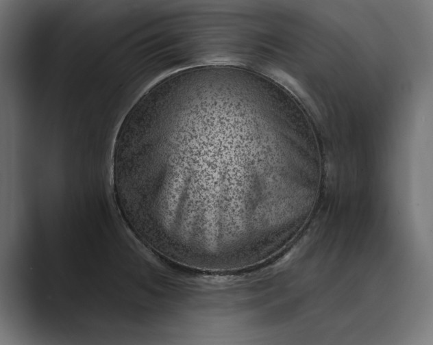 X0000089381236200706291311