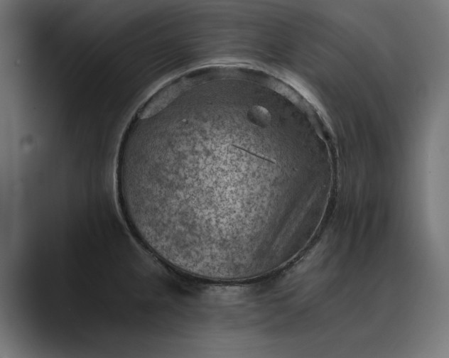 X0000089381237200706291311