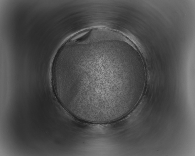 X0000089381240200706291311