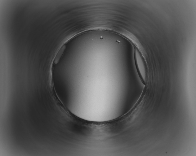 X0000089381242200706291311