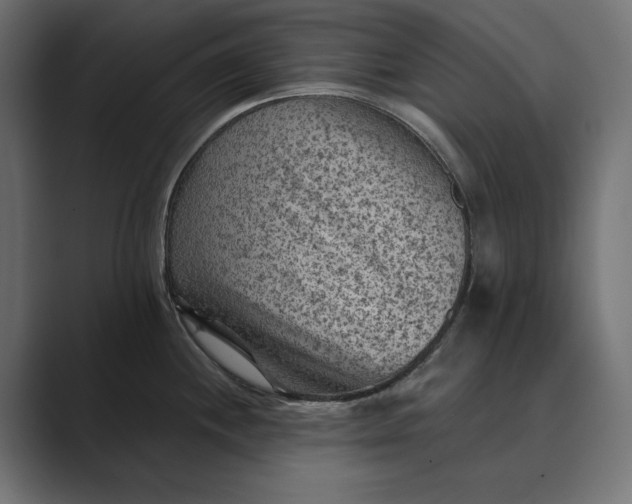X0000089381244200706291311