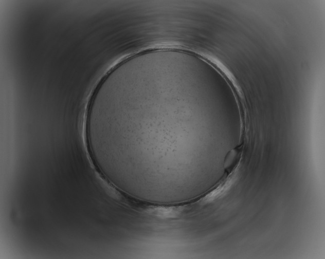 X0000089381245200706291311