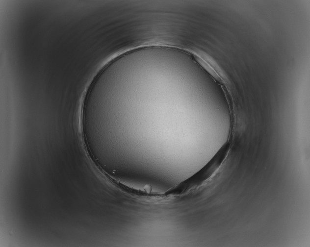 X0000089381246200706291311