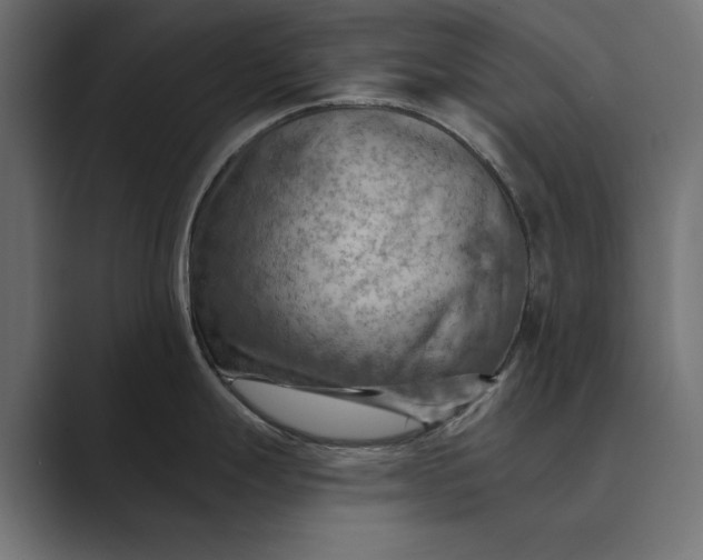 X0000089381247200706291311