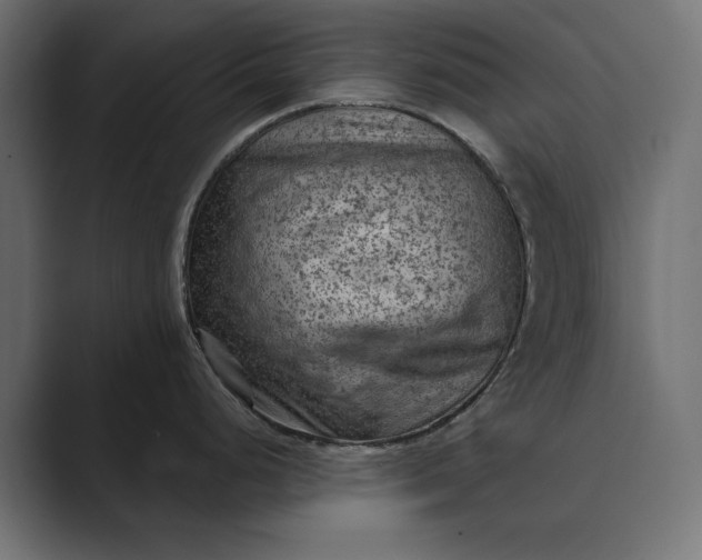 X0000089381248200706291311