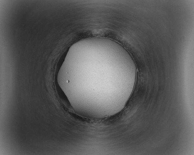 X0000089381249200706291310