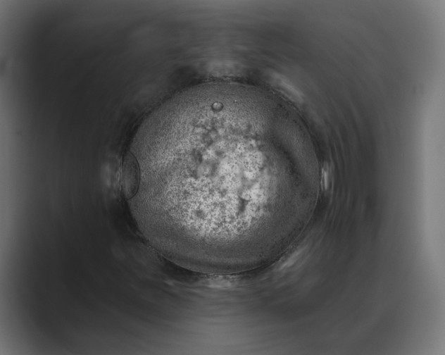 X0000089381251200706291310