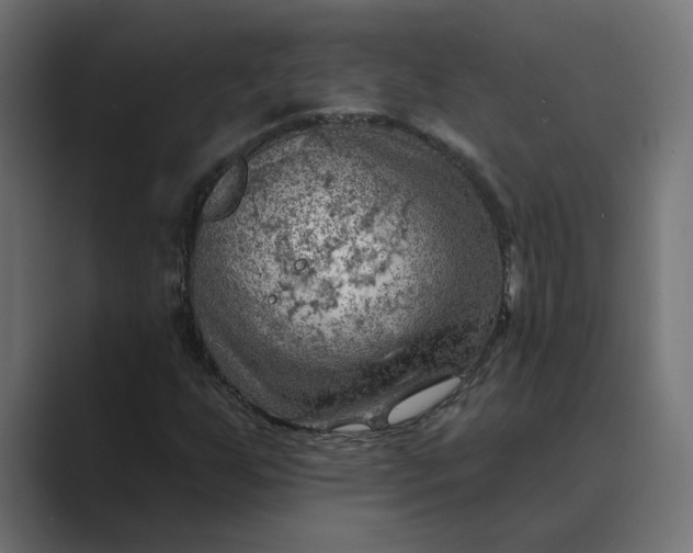 X0000089381255200706291310