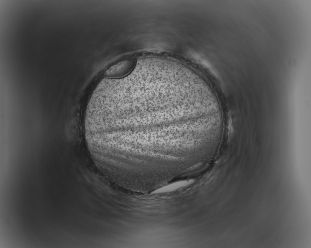X0000089381256200706291310
