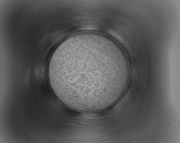 X0000089381258200706291310