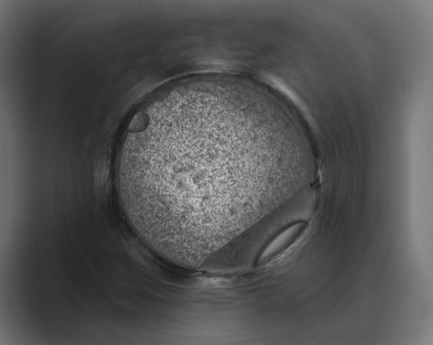 X0000089381259200706291310