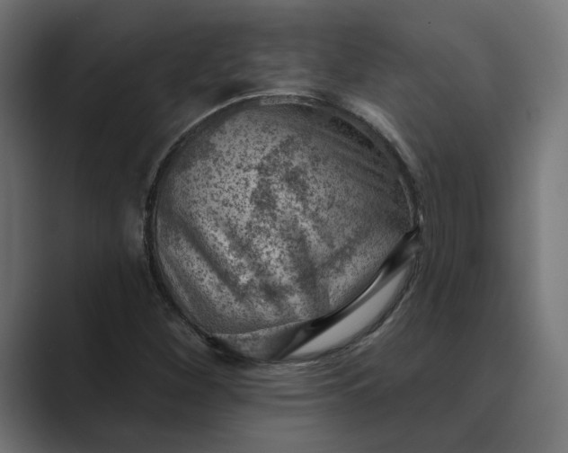 X0000089381260200706291310