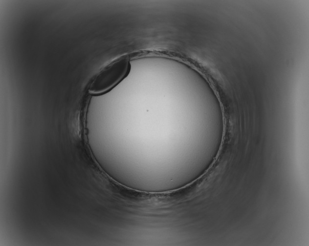 X0000089381262200706291310