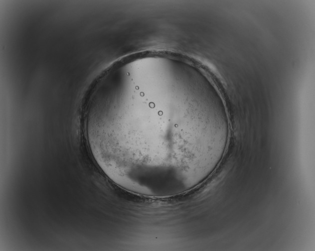 X0000089381263200706291310