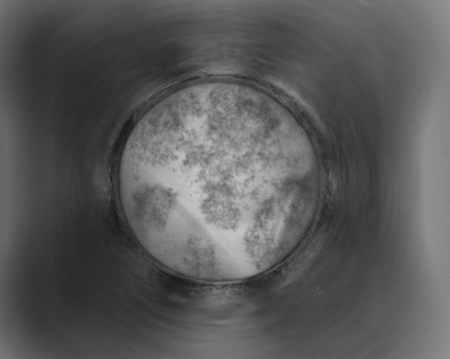 X0000089381266200706291310