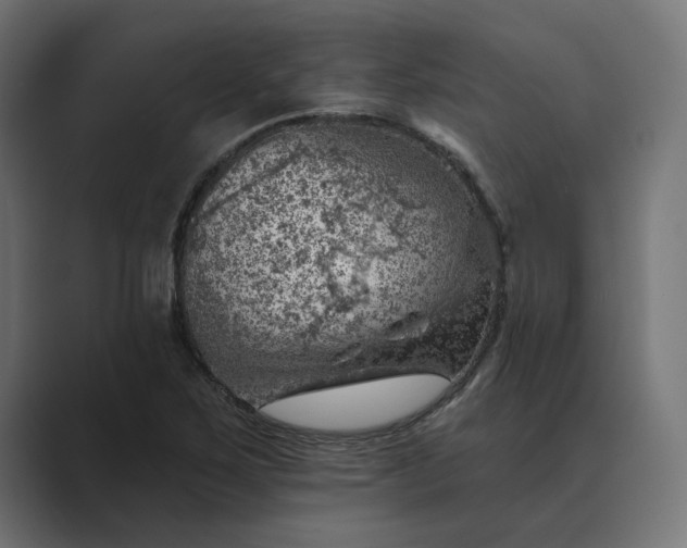X0000089381267200706291310