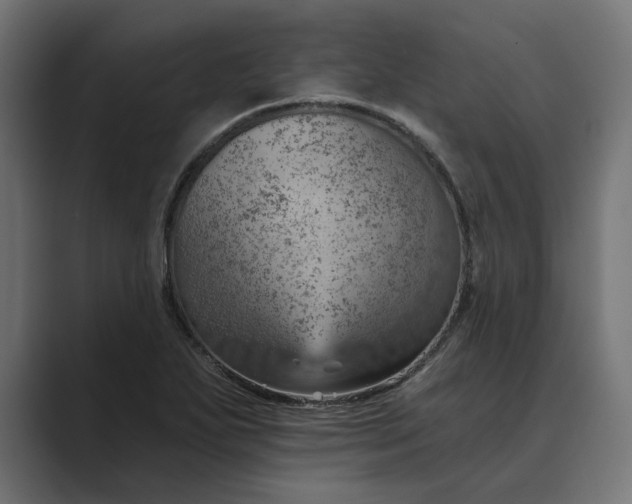 X0000089381271200706291310