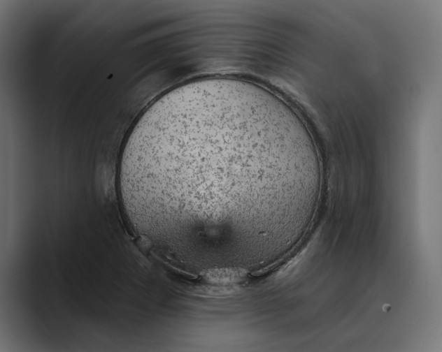 X0000089381273200706291310