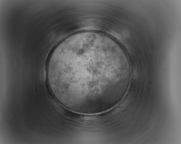 X0000089381274200706291310