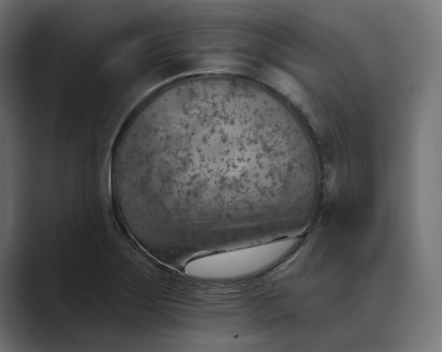 X0000089381275200706291310