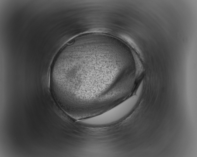 X0000089381276200706291310