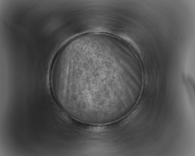 X0000089381278200706291310