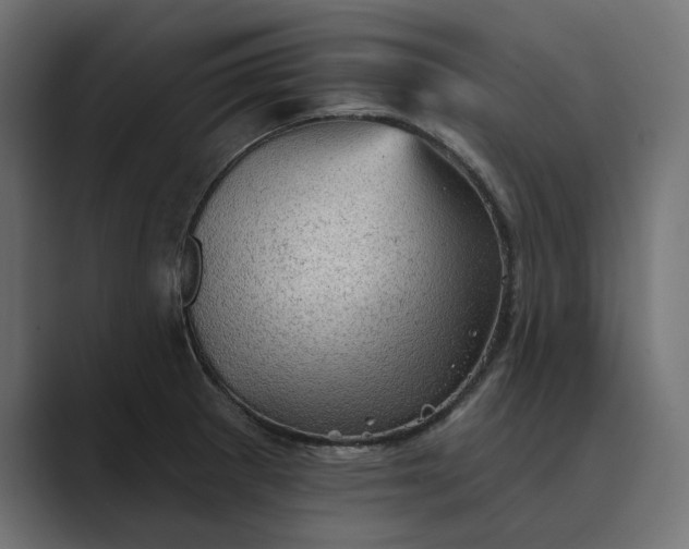 X0000089381281200706291310