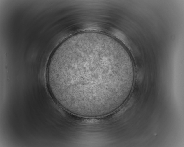 X0000089381282200706291310