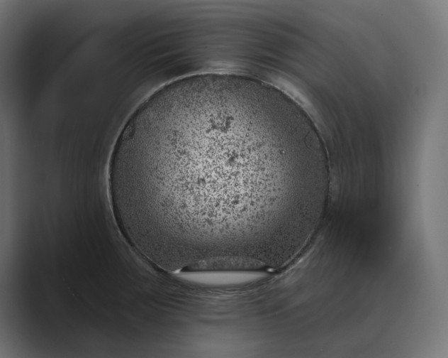 X0000089381283200706291310