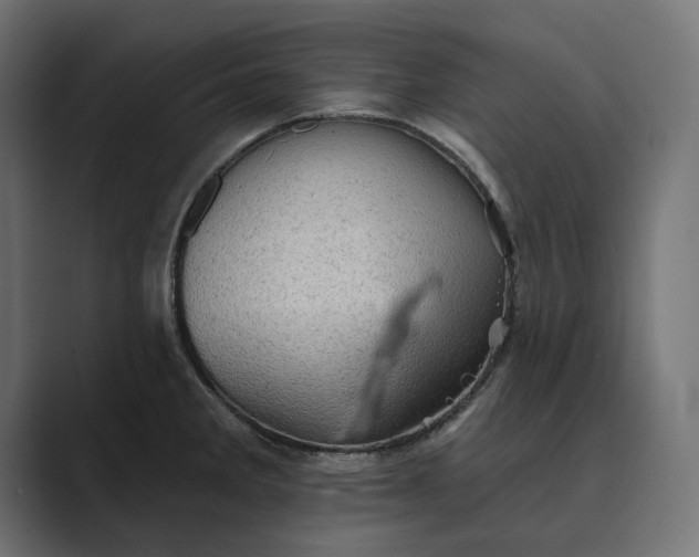 X0000089381285200706291310