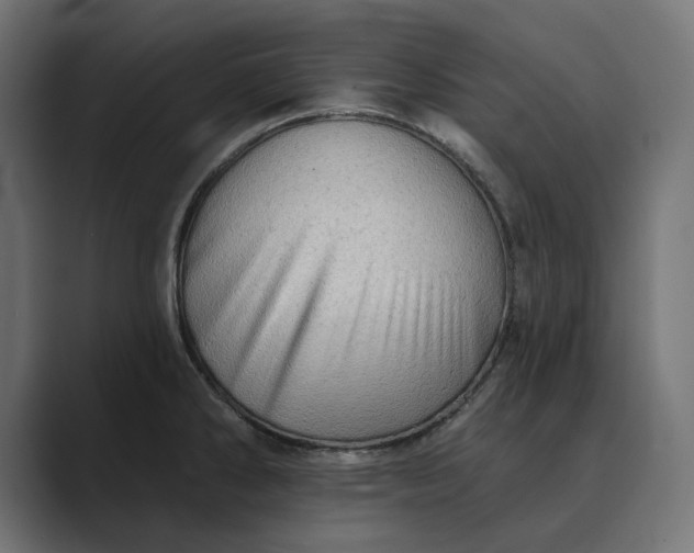 X0000089381286200706291310