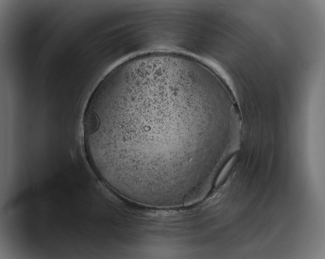 X0000089381287200706291310