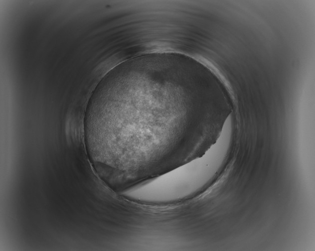 X0000089381289200706291310