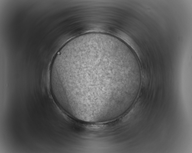 X0000089381290200706291310