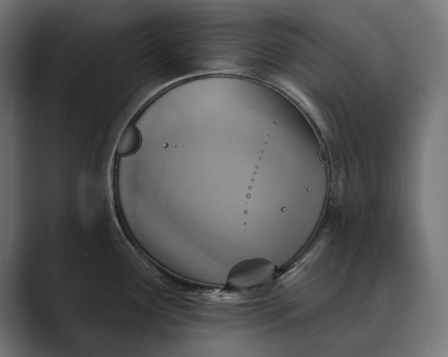 X0000089381291200706291310