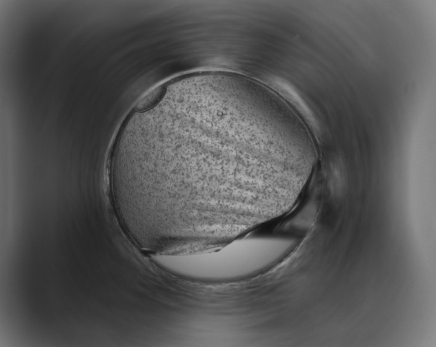 X0000089381292200706291310