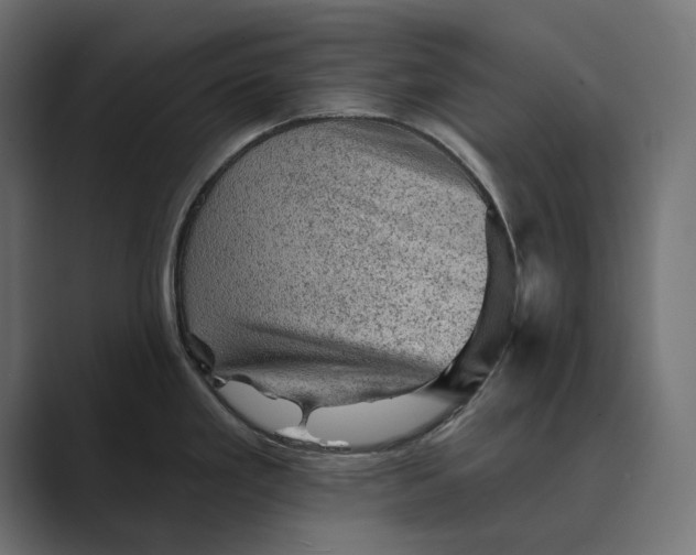 X0000089381293200706291310