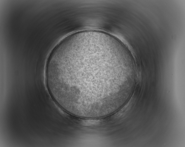 X0000089381294200706291310