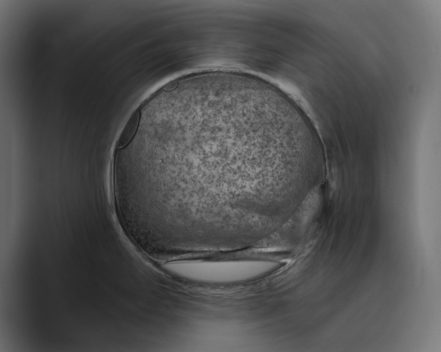 X0000089381295200706291310