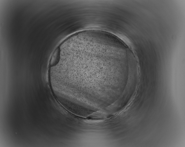 X0000089381296200706291310