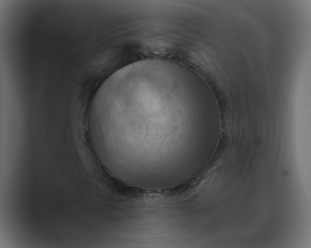 X0000089381297200706291309