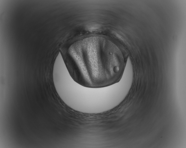 X0000089381298200706291309