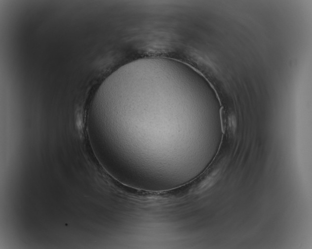X0000089381300200706291309