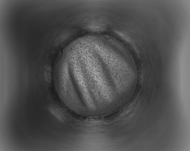 X0000089381301200706291309